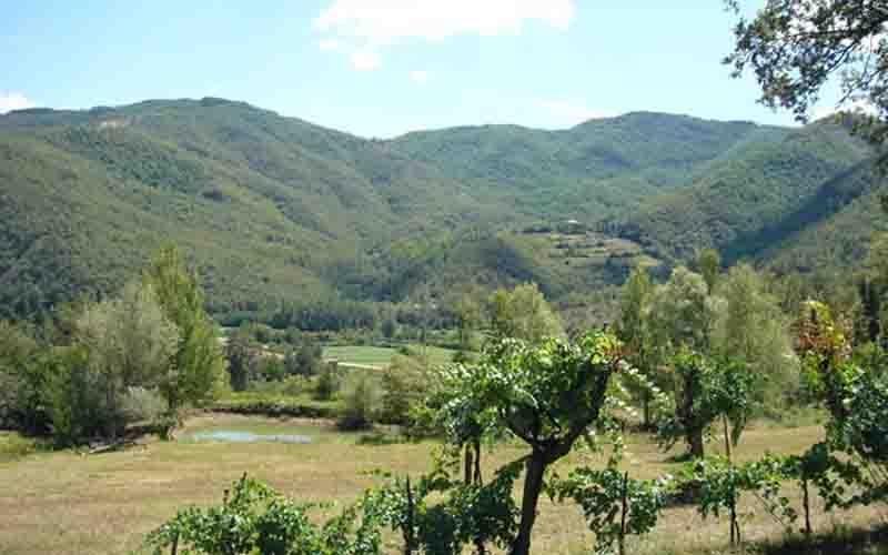 Morra Villa Il Corniolo מראה חיצוני תמונה
